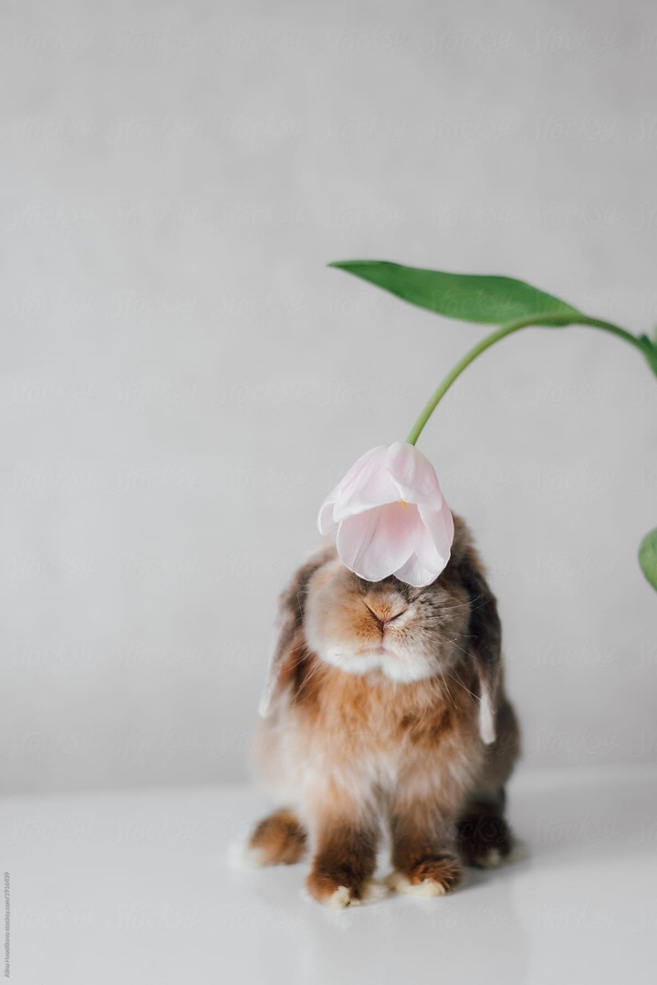 cute