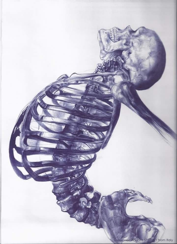 skeleton