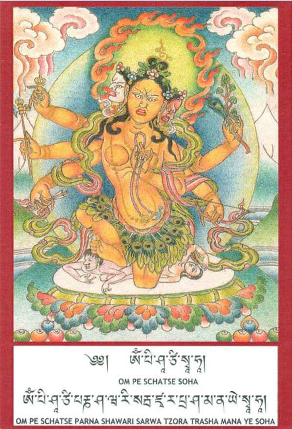 COVID 19 boddhism Chatting Puja