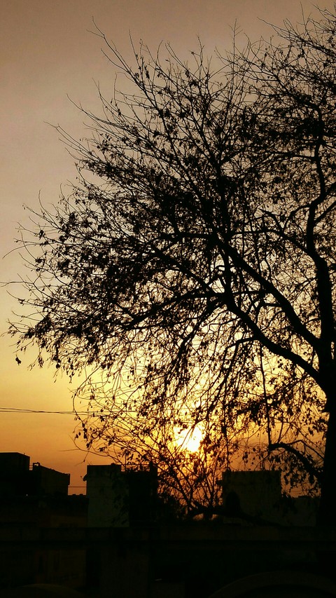 Sunset