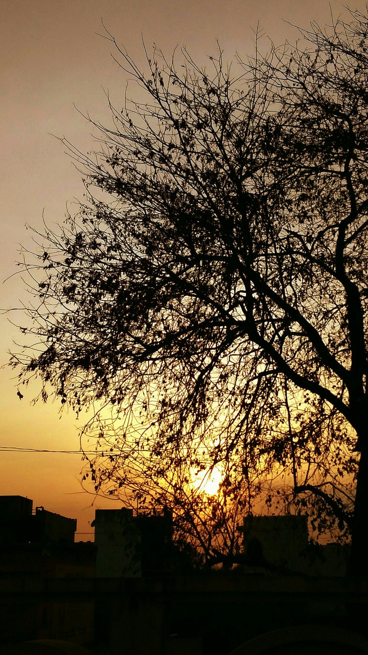 Sunset