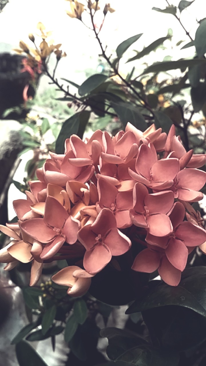 Little Things