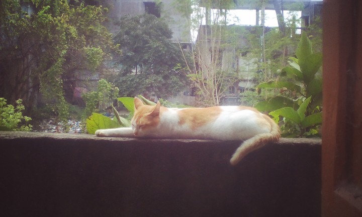 sleepy