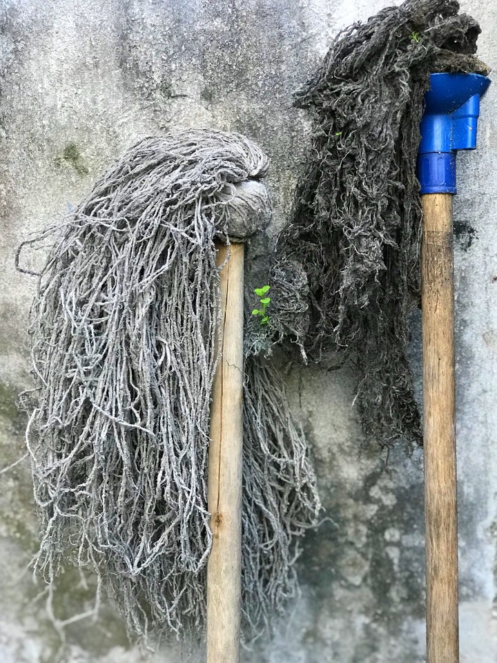 nace la naturaleza