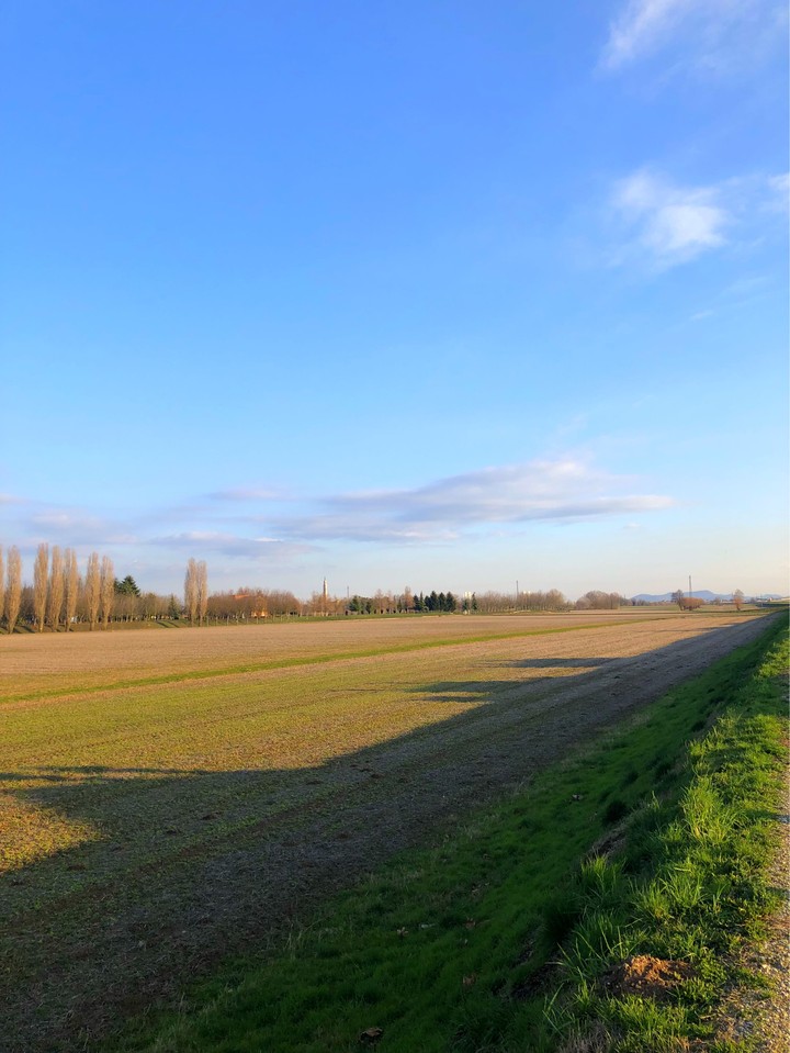 campo