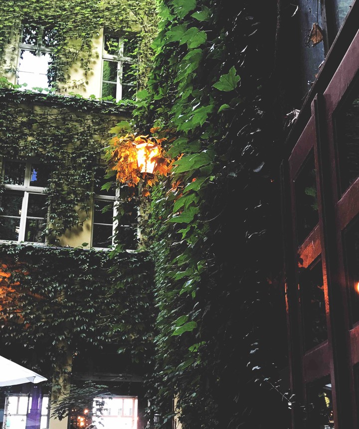 #plants #light