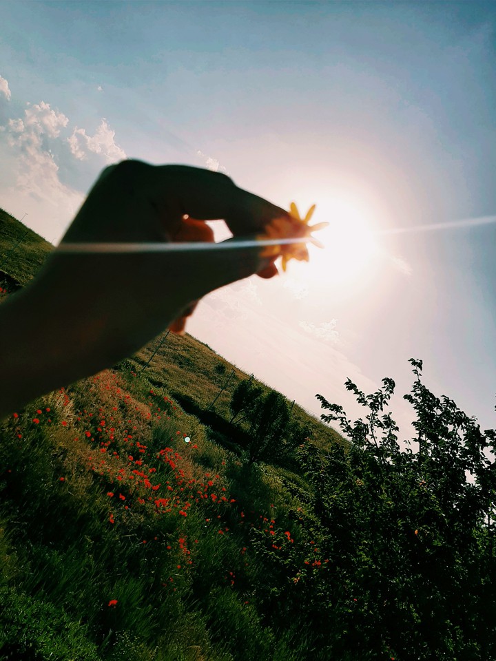 flower