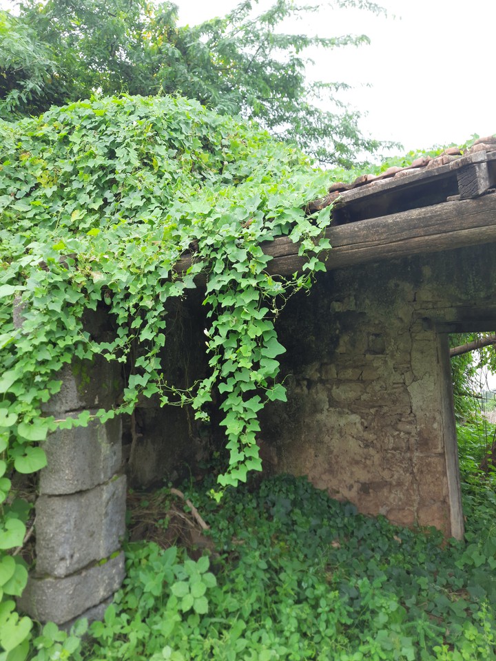 old Indian village home
