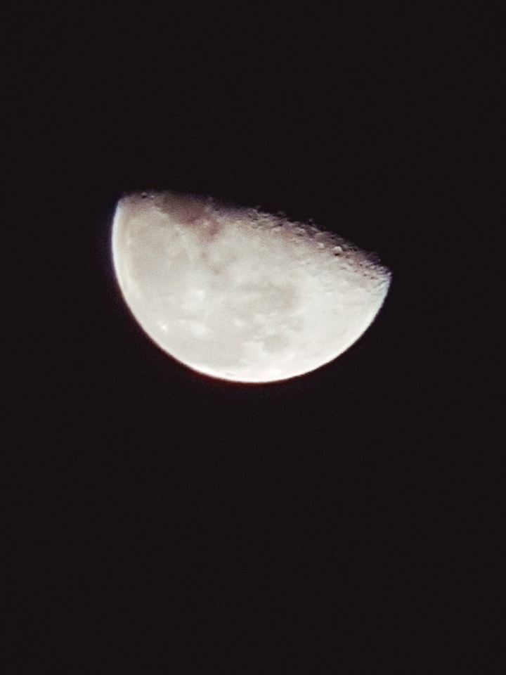 달님