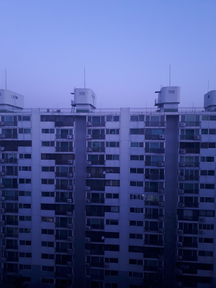 Dawn