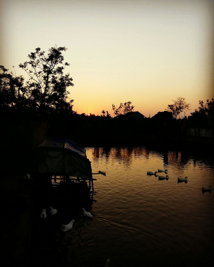 countryside