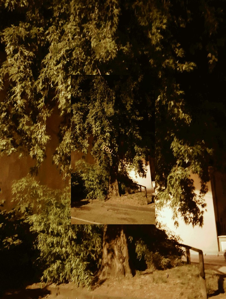 tree