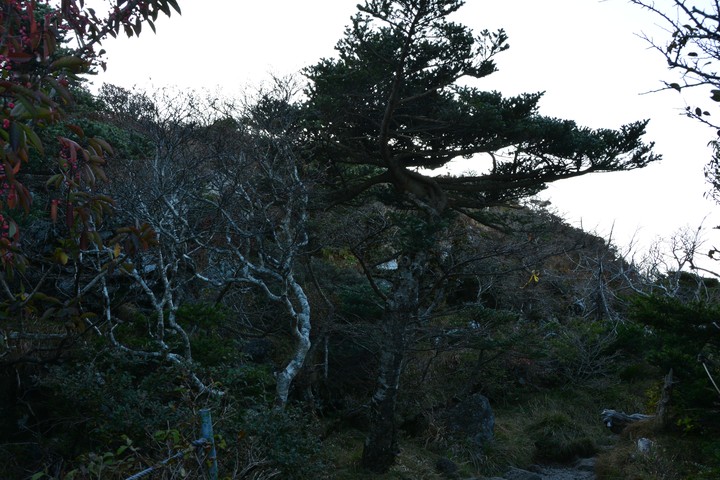 한라산이미지
