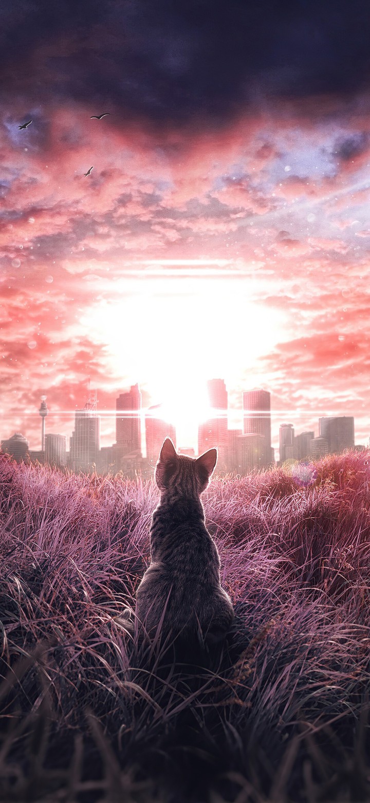 beautiful world