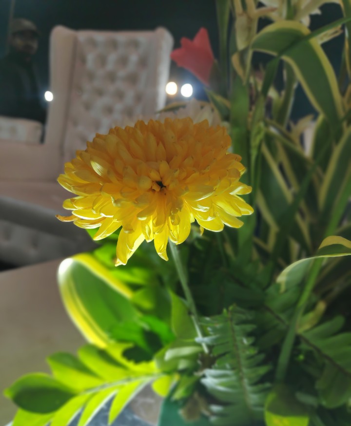 flower