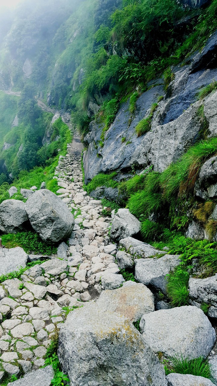 Nature
