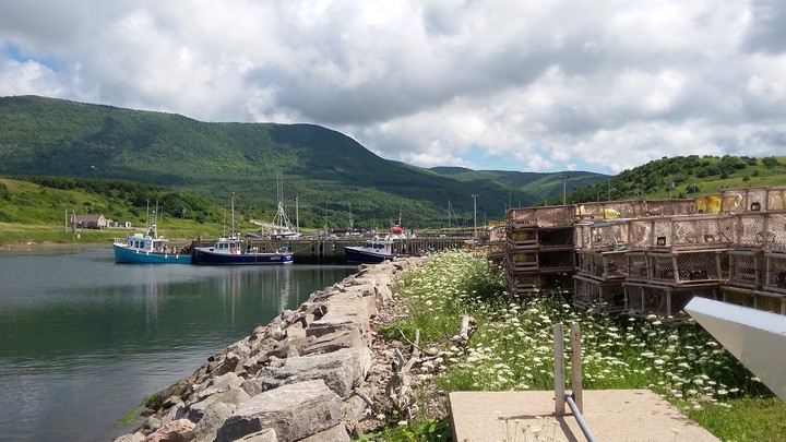 Harbor Days