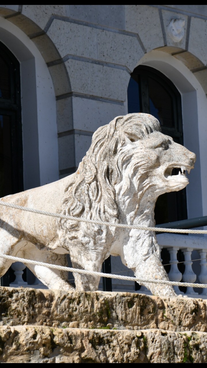 leon