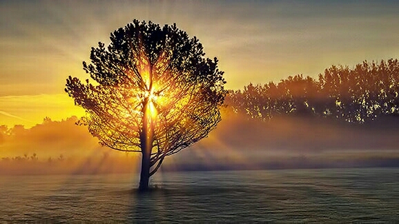 Misty sunrise