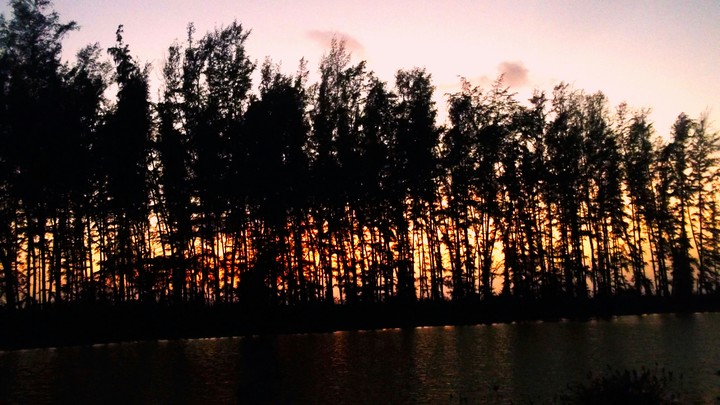 A beautiful evening