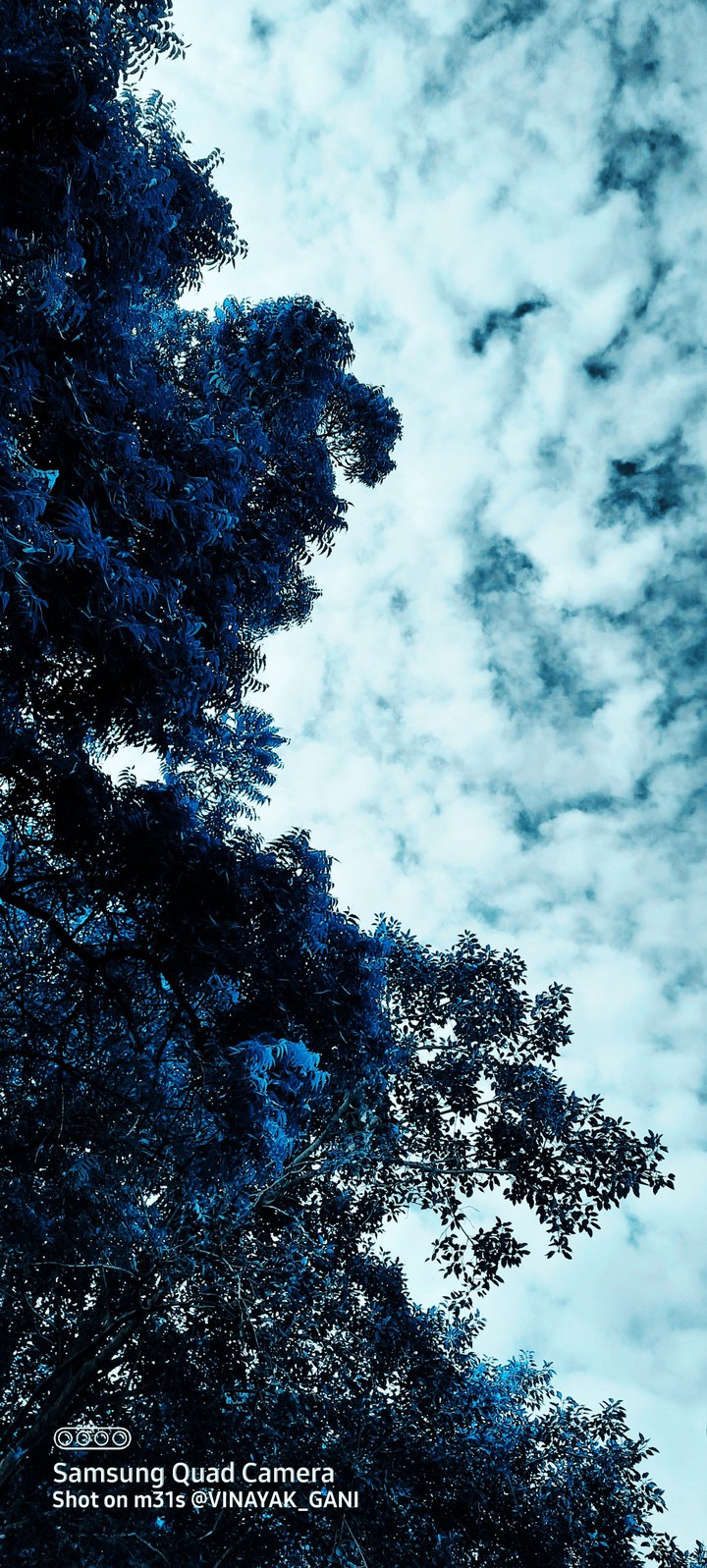 sky