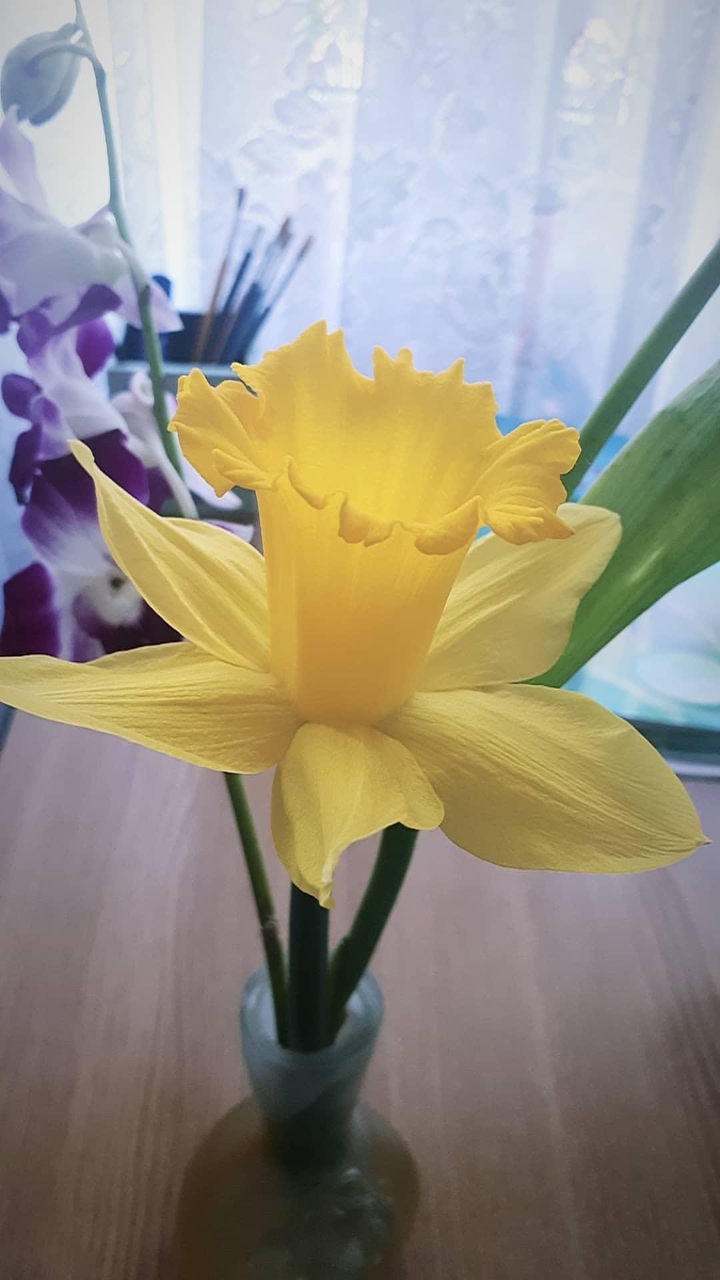 spring flower