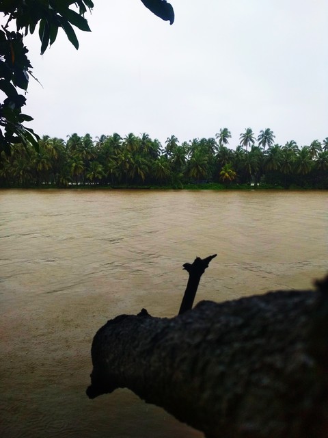 river