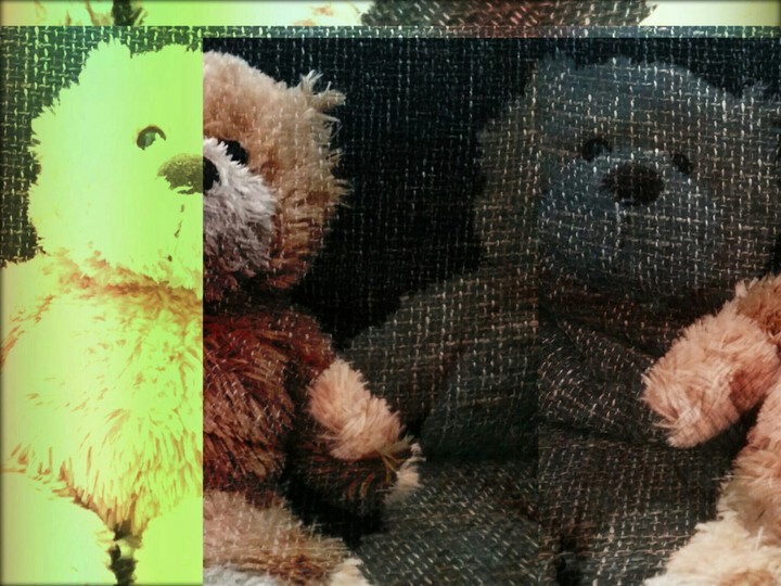 bear