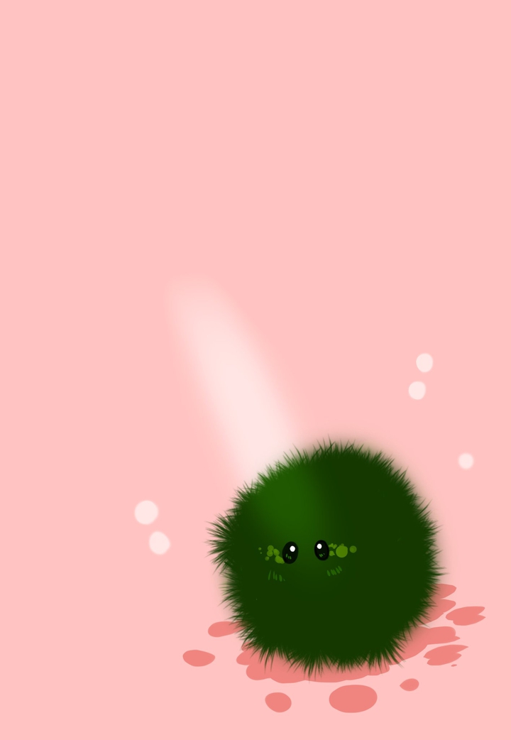 마리모 초록이 배경화면