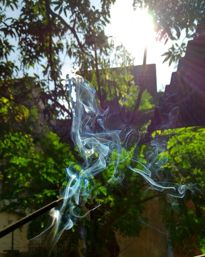 Essence all around.