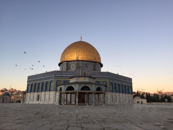 free palestine