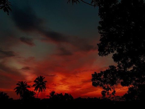 Dusk