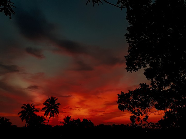Dusk