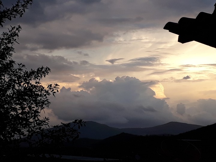 lindo