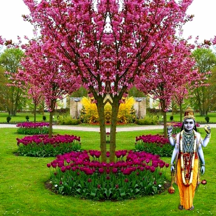 जय श्री हरि जी।