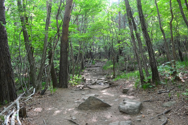 산이미지
