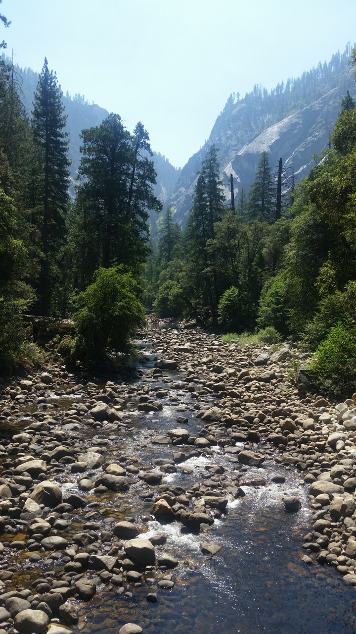 Rocky forest river