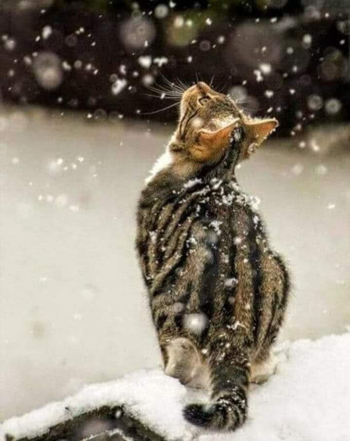 ❤❤