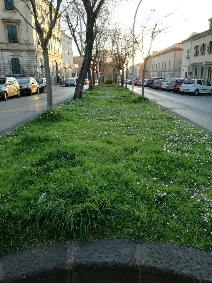 Natura in città