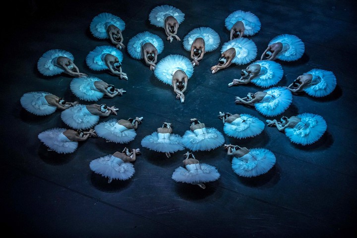 Swan lake