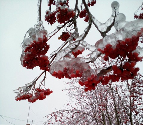 snow
