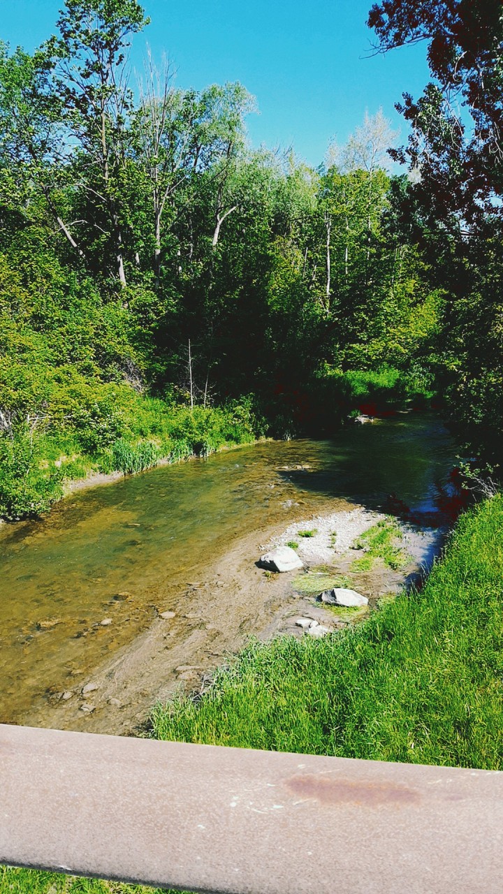 Oshawa river