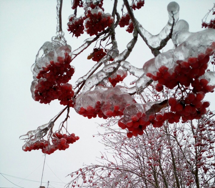 snow