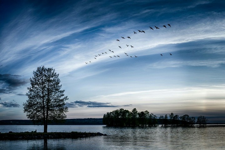 nature