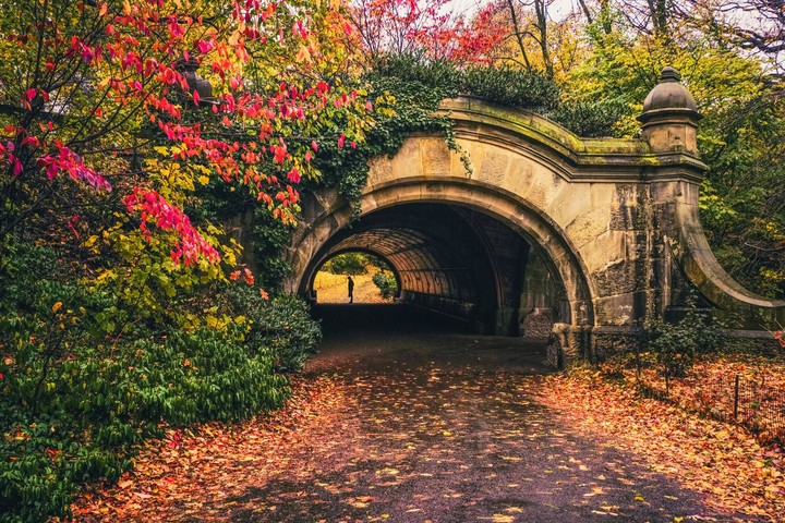 Tunnel