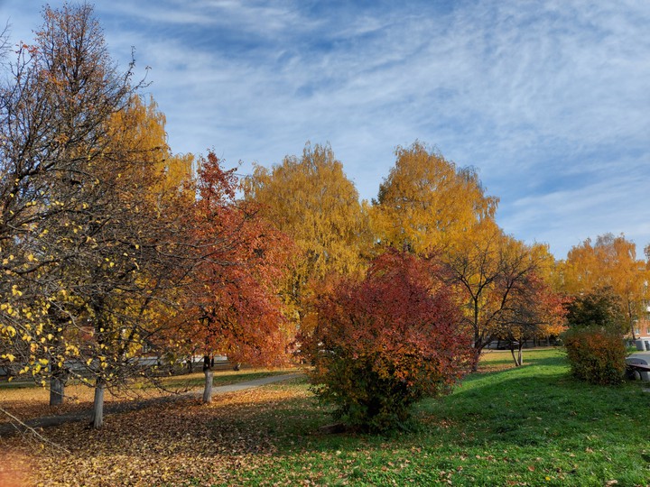 autumn