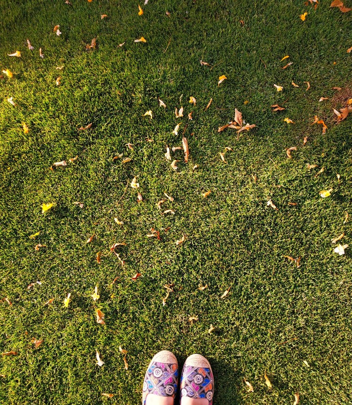 grass
