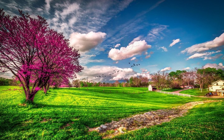 Spring