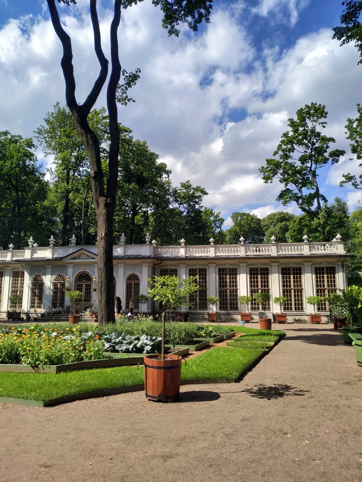 garden