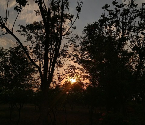 Nature beauty
